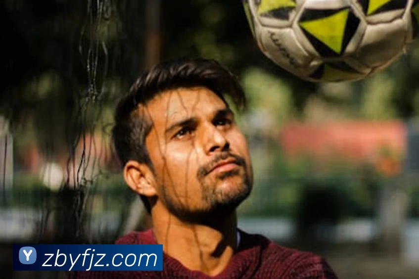 爱游戏体育平台生态图