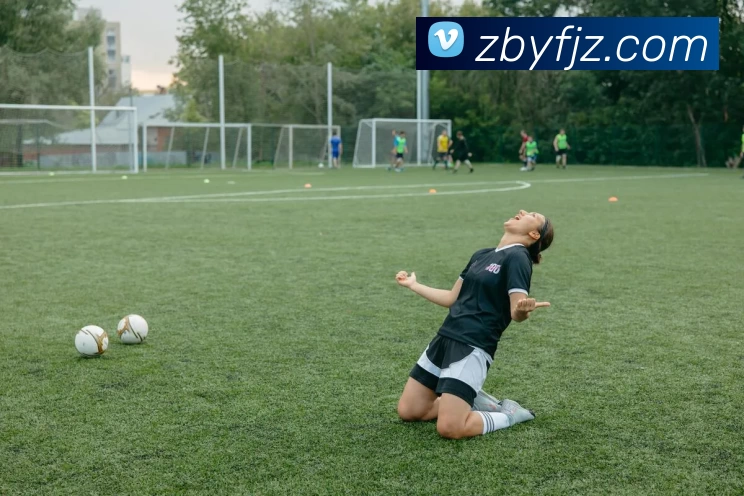 爱游戏体育APP 封面图